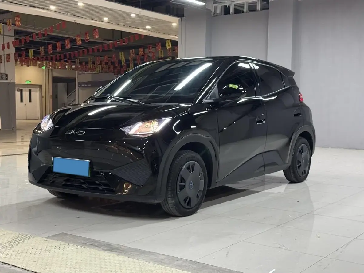2025 BYD Seagull BEV 30.08KWH