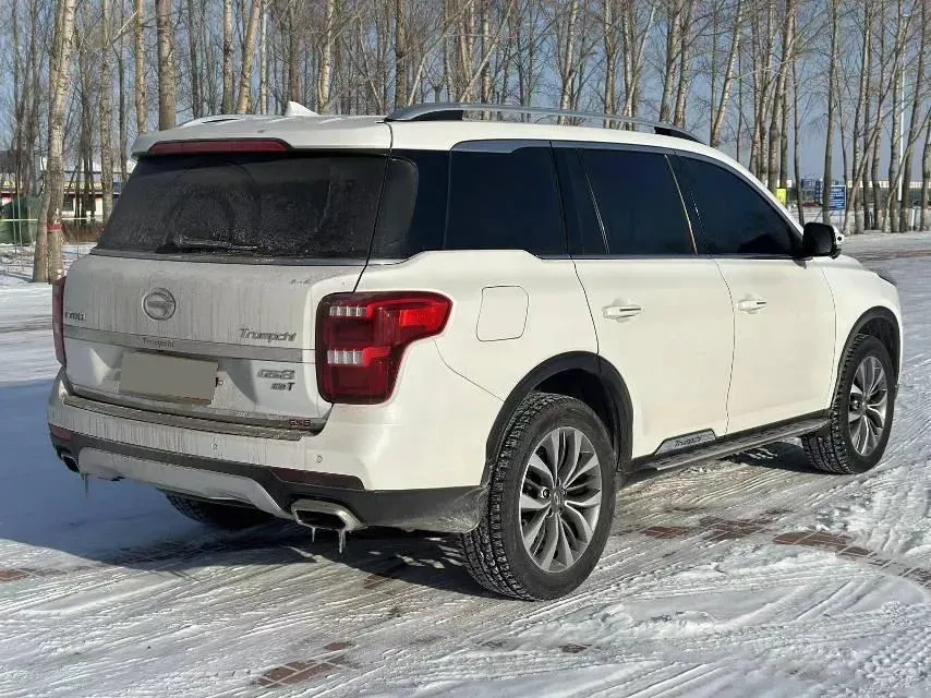 2017 GAC Trumpchi GS8 2.0T 201HP L4 6AT,autocango,china used car exporter,china ev exporter,chinese used car exporter,chinese used ev exporter
