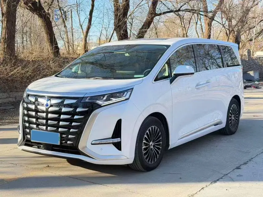 2024 Denza D9 1.5T 139HP L4 E-CVT PHEV 40KWH