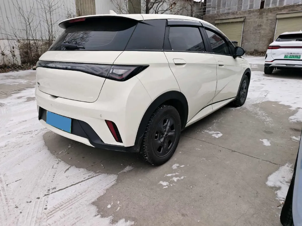 2024 BYD Dolphin BEV 32.256KWH,autocango,china used car exporter,china ev exporter,chinese used car exporter,chinese used ev exporter