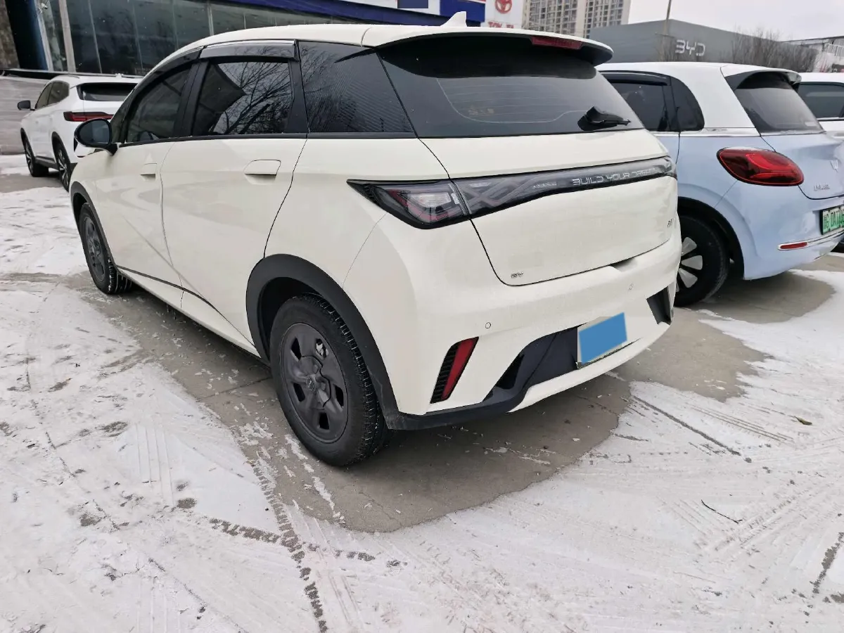 2024 BYD Dolphin BEV 32.256KWH,autocango,china used car exporter,china ev exporter,chinese used car exporter,chinese used ev exporter