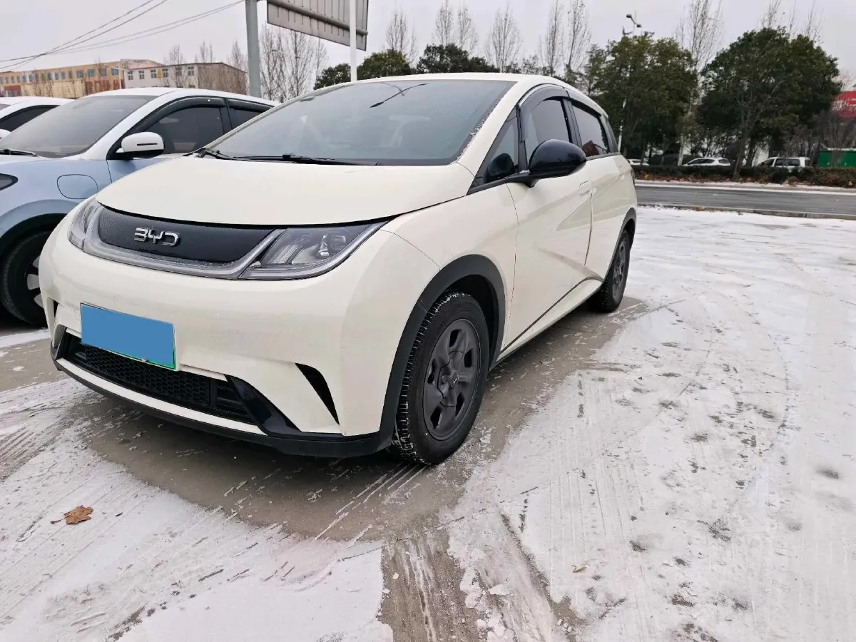 2024 BYD Dolphin BEV 32.256KWH,autocango,china used car exporter,china ev exporter,chinese used car exporter,chinese used ev exporter