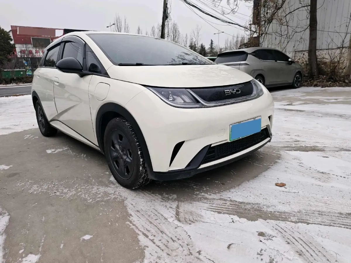 2024 BYD Dolphin BEV 32.256KWH,autocango,china used car exporter,china ev exporter,chinese used car exporter,chinese used ev exporter