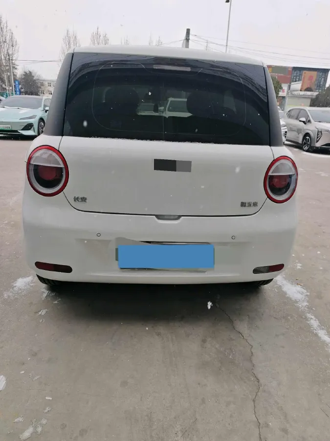 2024 ChangAn QiYuan Lumin BEV 13.41KWH,autocango,china used car exporter,china ev exporter,chinese used car exporter,chinese used ev exporter