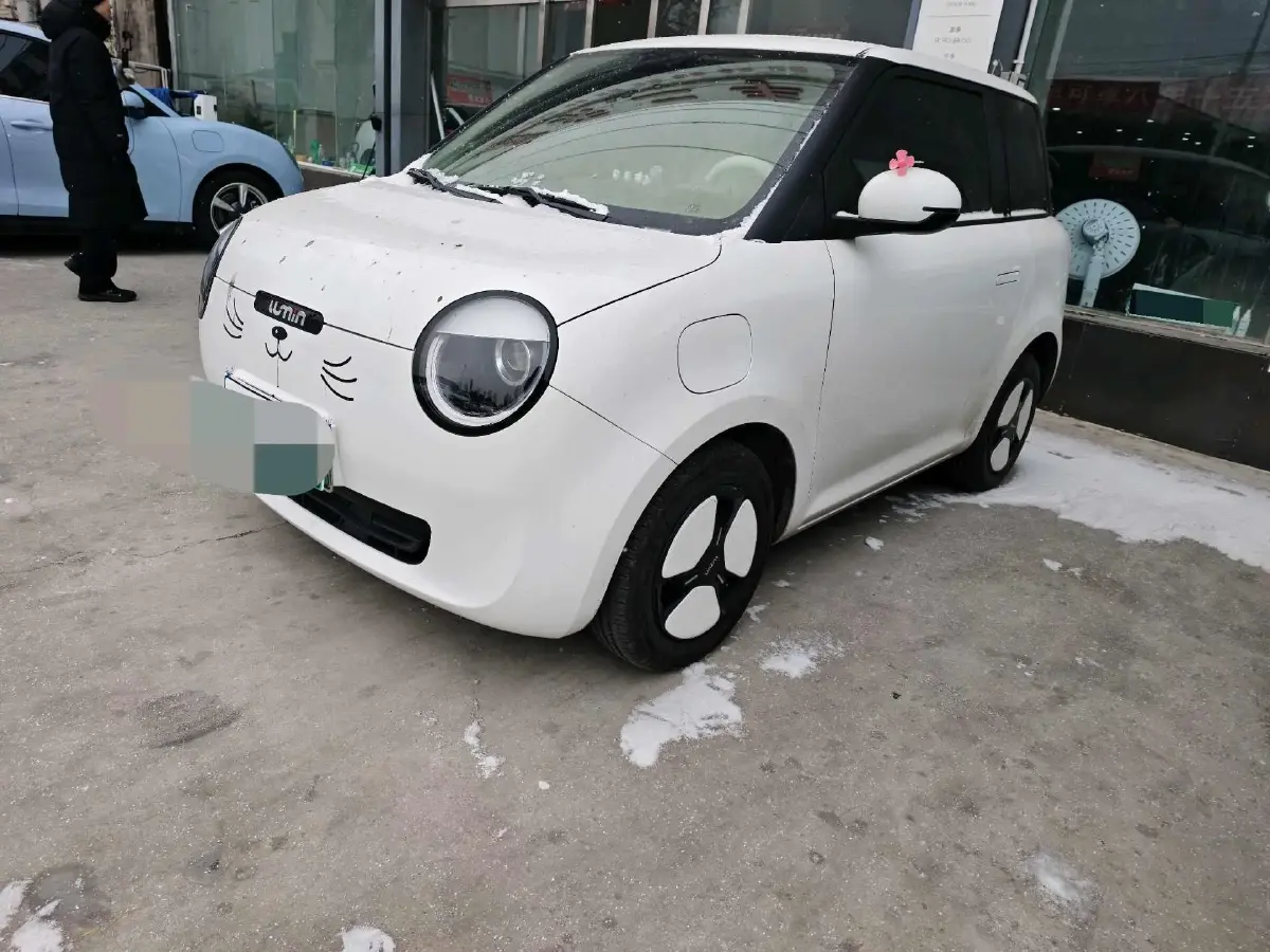 2024 ChangAn QiYuan Lumin BEV 13.41KWH