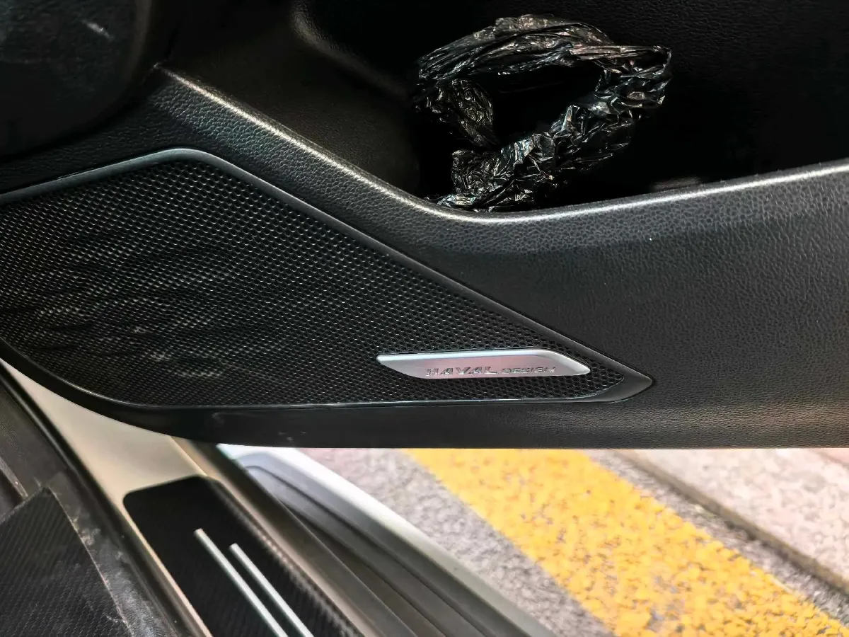 2021 Haval Dargo 1.5T 169HP L4 7DCT,autocango,china used car exporter,china ev exporter,chinese used car exporter,chinese used ev exporter