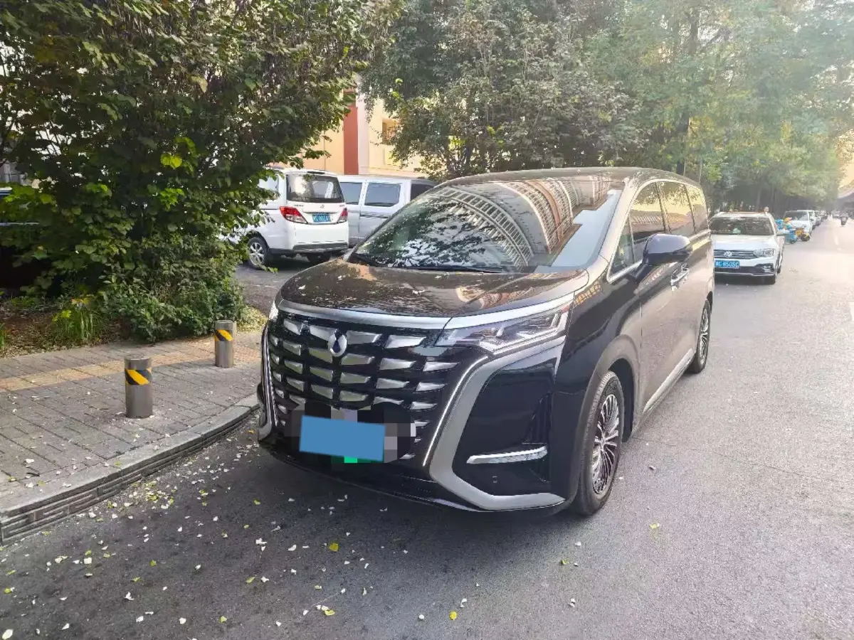 2024 Denza D9 1.5T 139HP L4 E-CVT PHEV 40KWH