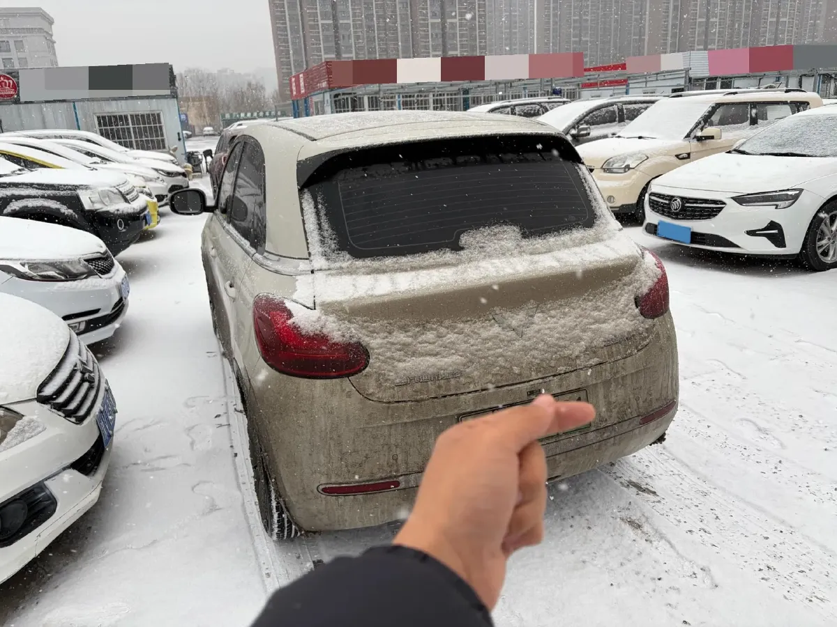 2024 WuLing BinGuo BEV 31.9KWH,autocango,china used car exporter,china ev exporter,chinese used car exporter,chinese used ev exporter