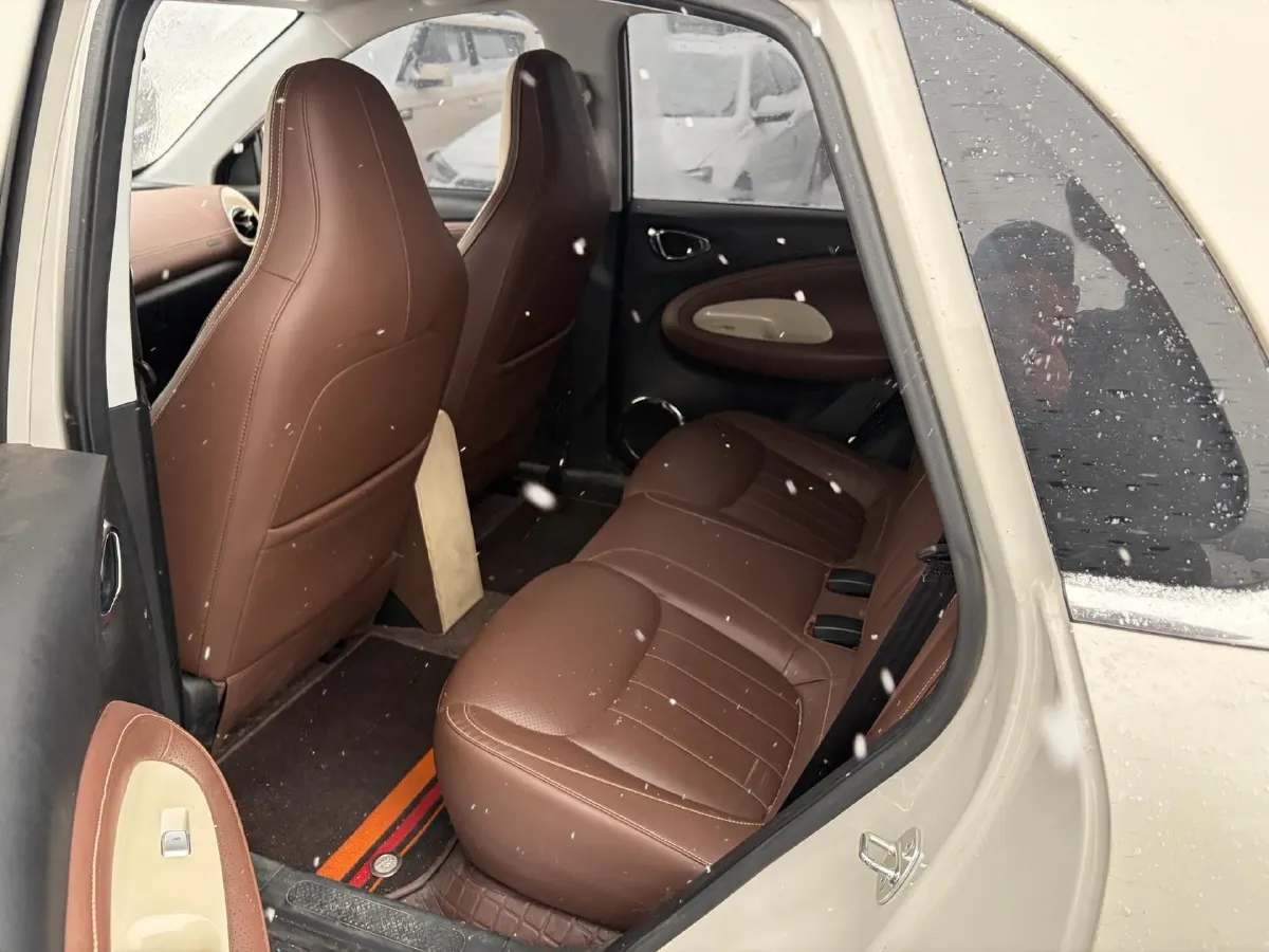 2024 WuLing BinGuo BEV 31.9KWH,autocango,china used car exporter,china ev exporter,chinese used car exporter,chinese used ev exporter