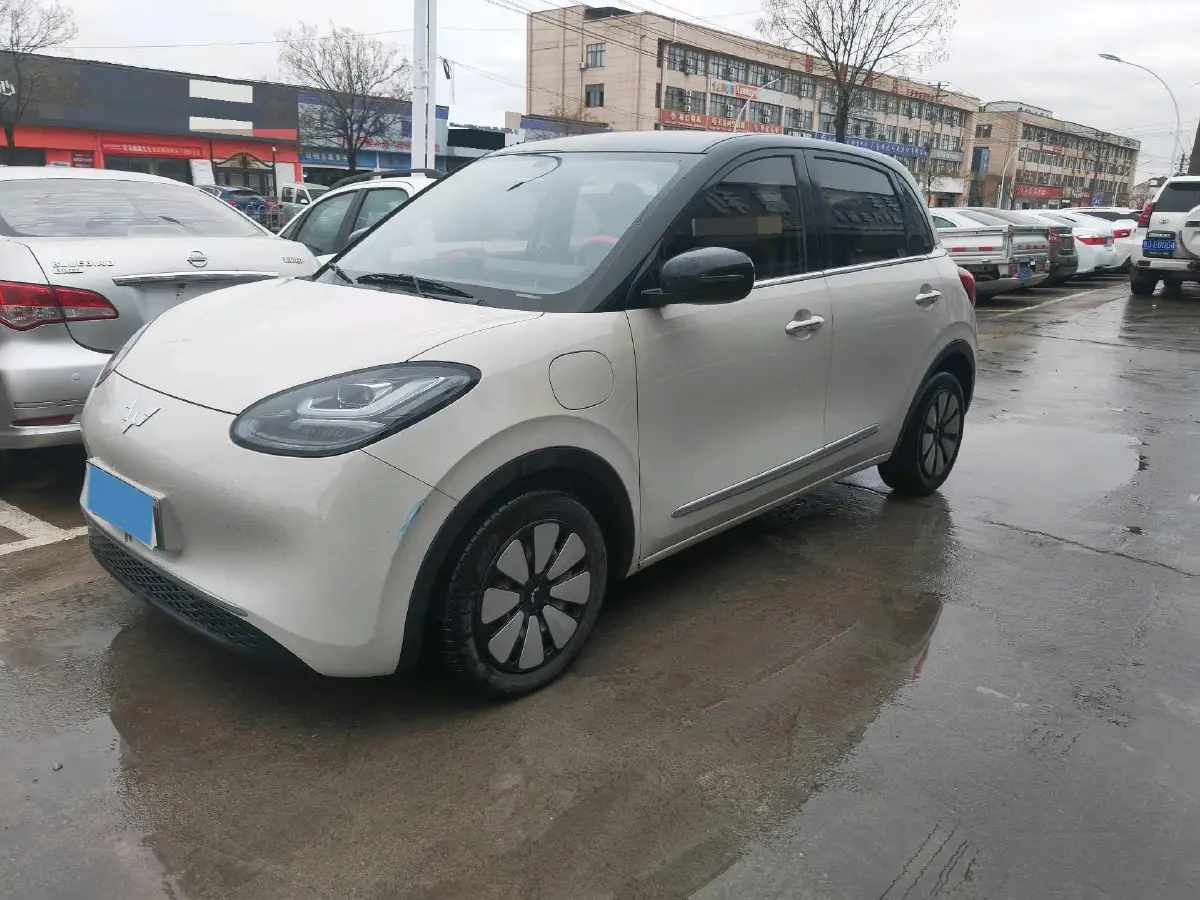 2024 WuLing BinGuo BEV 31.9KWH