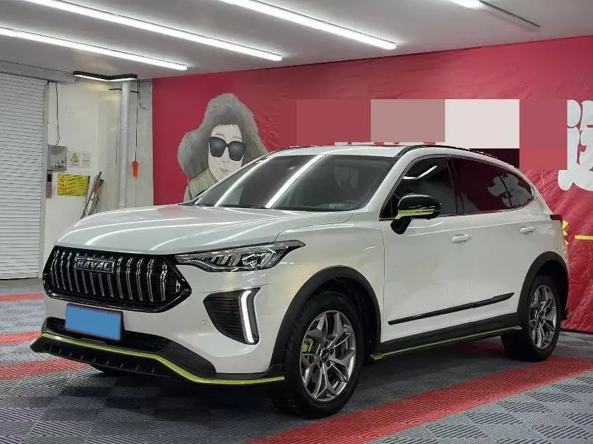 2022 Haval Rabbit 1.5T 150HP L4 7DCT