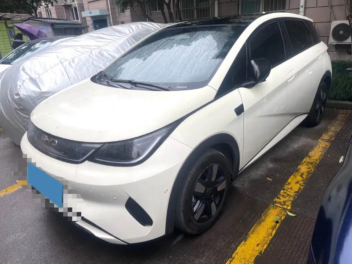 2025 BYD Dolphin BEV 45.12KWH