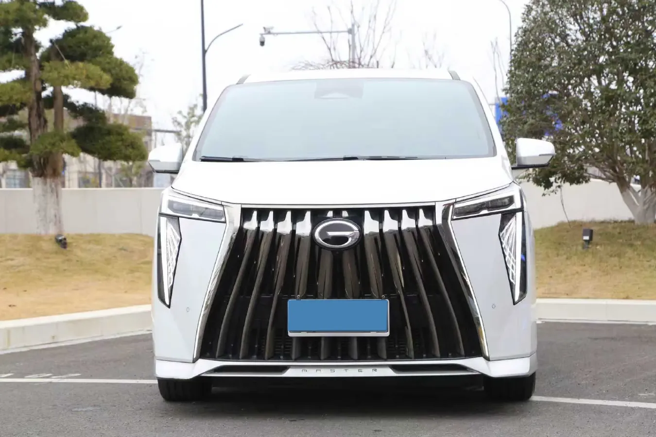 2023 GAC Trumpchi M8 2.0T 252HP L4 8AT,autocango,china used car exporter,china ev exporter,chinese used car exporter,chinese used ev exporter