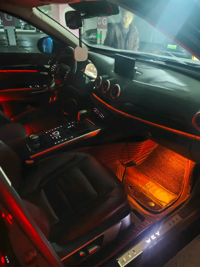 2017 WEY VV7 2.0T 234HP L4 7DCT,autocango,china used car exporter,china ev exporter,chinese used car exporter,chinese used ev exporter