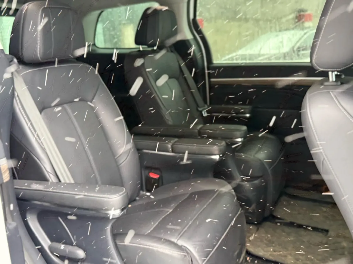 2023 GAC Trumpchi M8 2.0T 252HP L4 8AT,autocango,china used car exporter,china ev exporter,chinese used car exporter,chinese used ev exporter