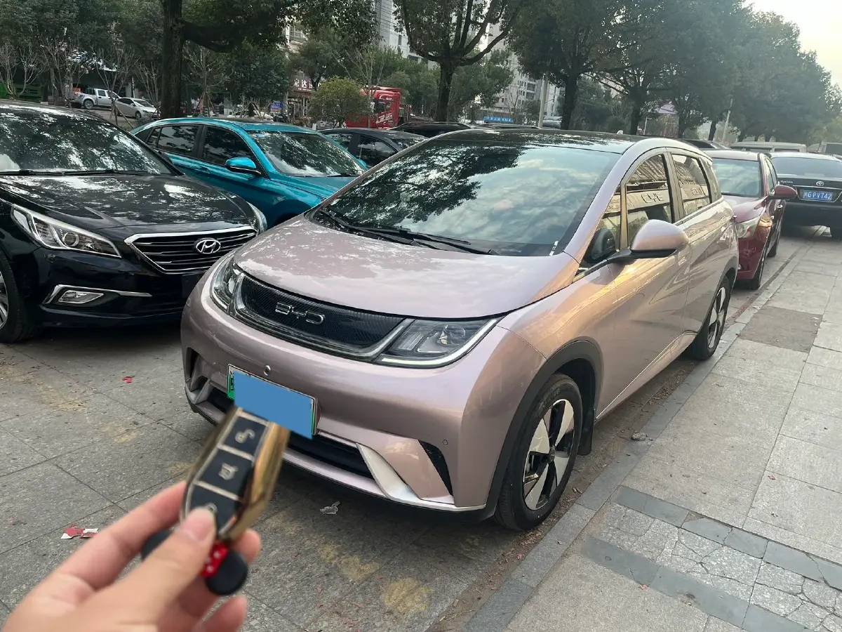 2023 BYD Dolphin BEV 44.928KWH