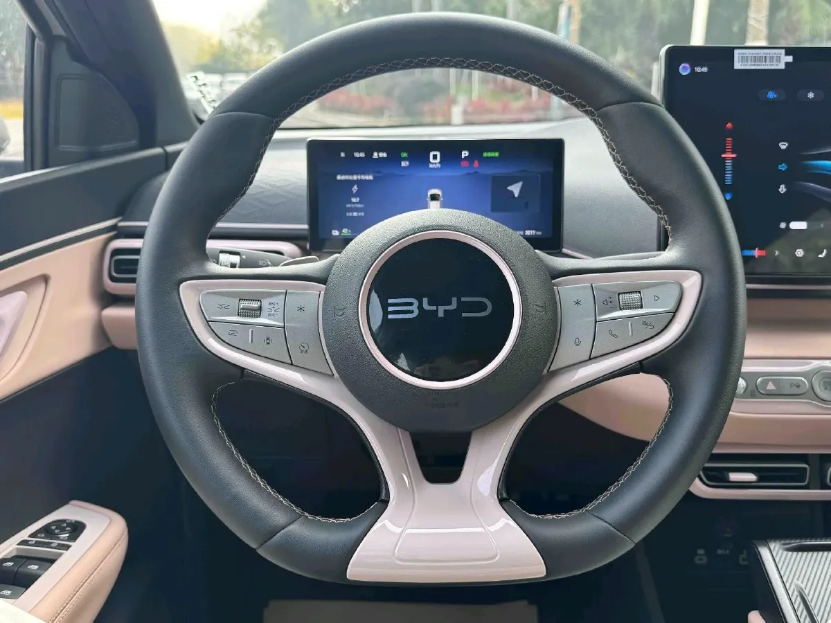 2025 BYD Seagull BEV 30.08KWH,autocango,china used car exporter,china ev exporter,chinese used car exporter,chinese used ev exporter