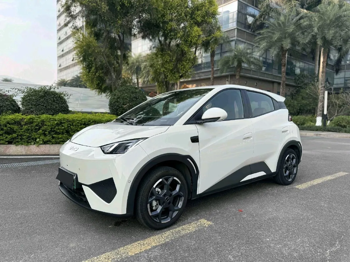 2025 BYD Seagull BEV 30.08KWH,autocango,china used car exporter,china ev exporter,chinese used car exporter,chinese used ev exporter