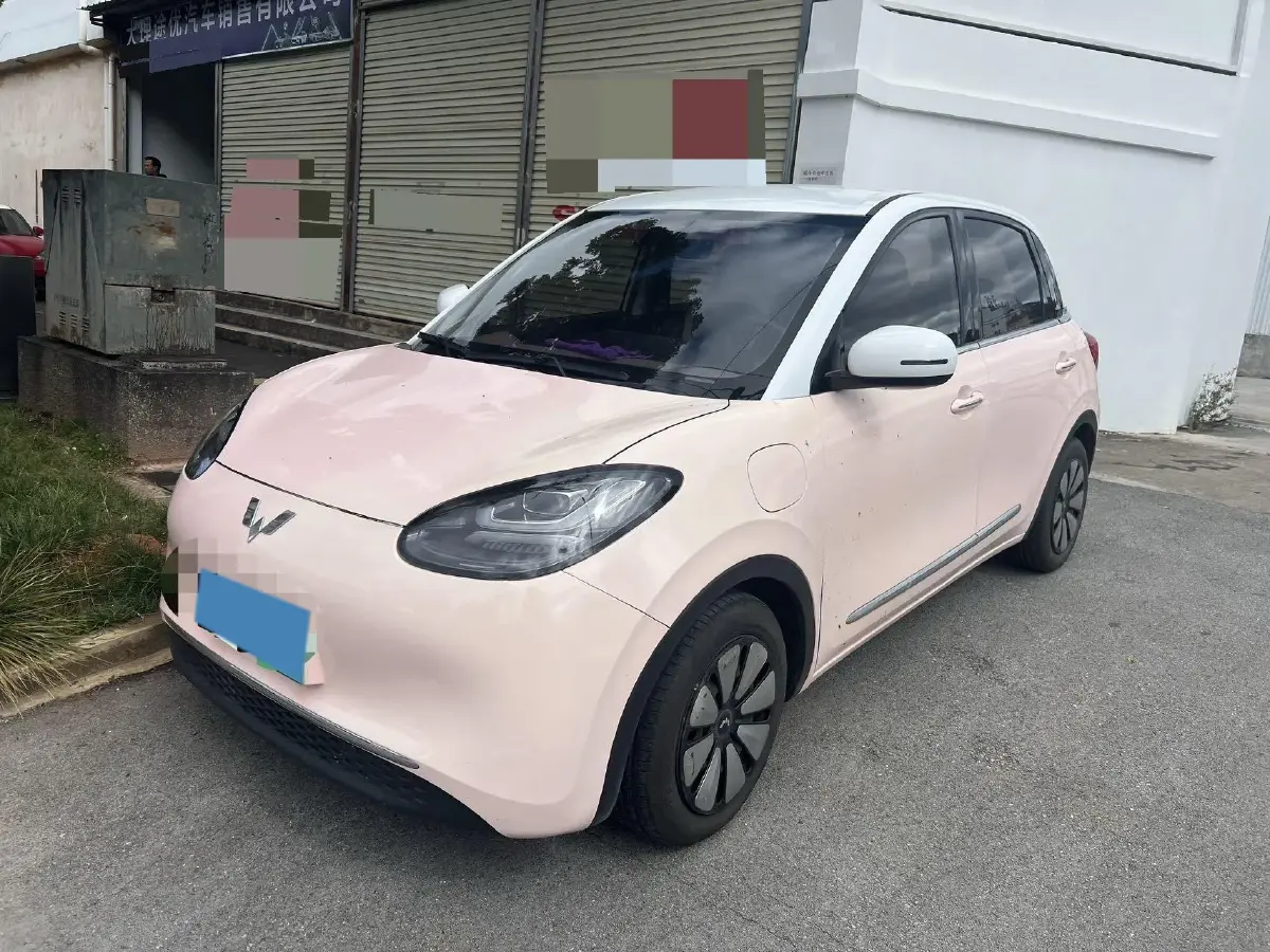 2023 WuLing BinGuo BEV 31.9KWH