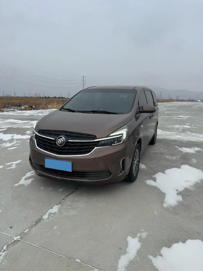 2020 Buick GL8 2.0T 237HP L4 9AT