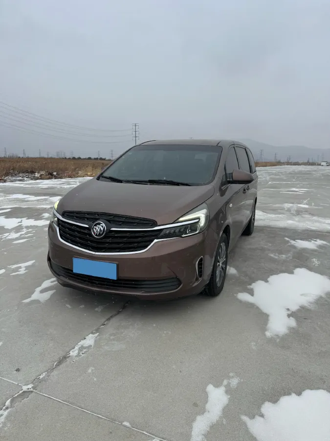 2020 Buick GL8 2.0T 237HP L4 9AT,autocango,china used car exporter,china ev exporter,chinese used car exporter,chinese used ev exporter