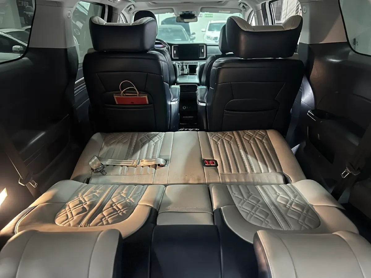 2021 GAC Trumpchi M8 2.0T 252HP L4 8AT,autocango,china used car exporter,china ev exporter,chinese used car exporter,chinese used ev exporter