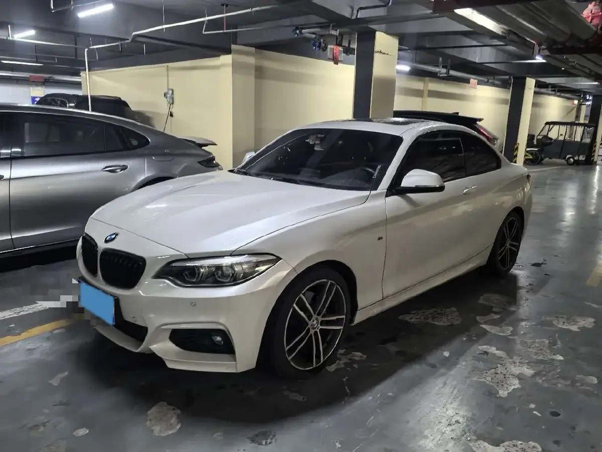 2019 BMW 2 Series 2.0T 184HP L4 8AT