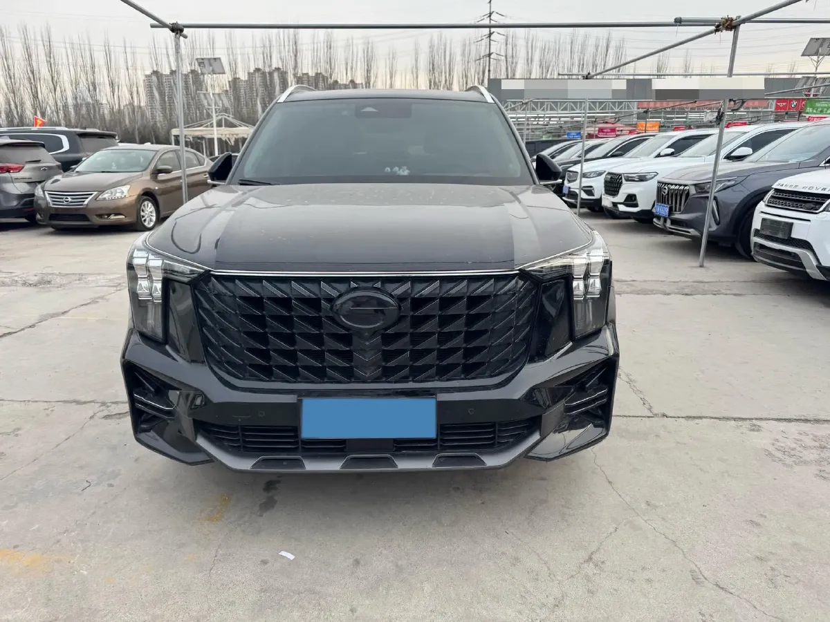 2022 GAC Trumpchi GS8 2.0T 252HP L4 8AT,autocango,china used car exporter,china ev exporter,chinese used car exporter,chinese used ev exporter