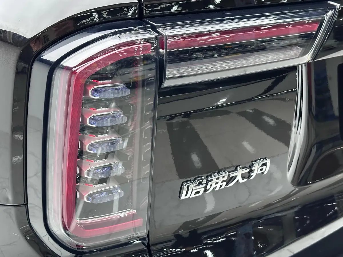 2021 Haval Dargo 2.0T 211HP L4 7DCT,autocango,china used car exporter,china ev exporter,chinese used car exporter,chinese used ev exporter