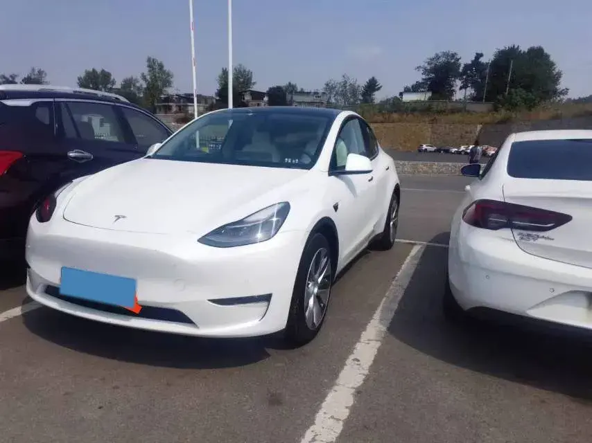 2021 Tesla Model Y BEV 76.8KWH