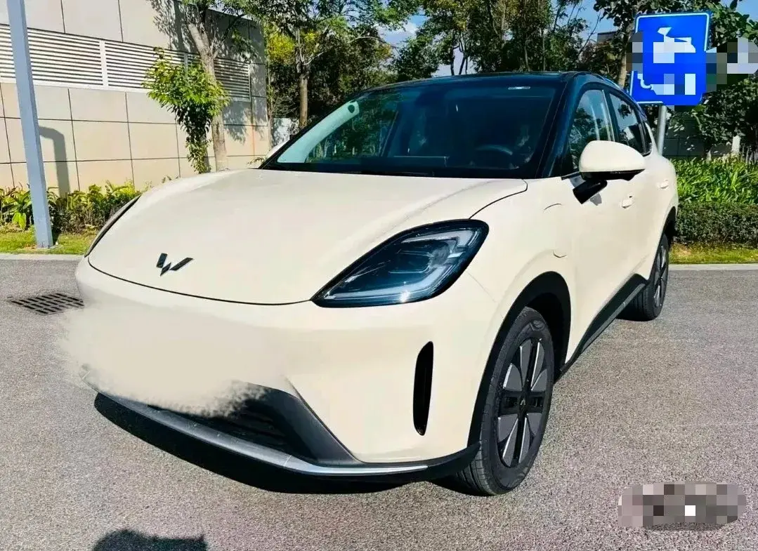 2025 WuLing BinGuo BEV