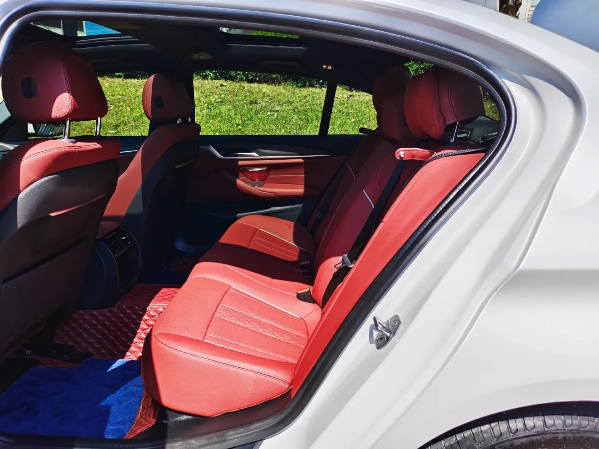 2021 BMW 5 Series 2.0T 252HP L4 8AT,autocango,china used car exporter,china ev exporter,chinese used car exporter,chinese used ev exporter