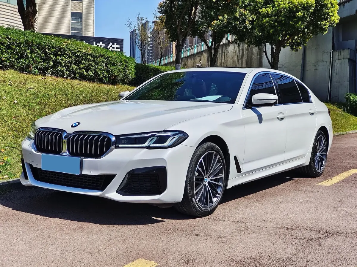 2021 BMW 5 Series 2.0T 252HP L4 8AT,autocango,china used car exporter,china ev exporter,chinese used car exporter,chinese used ev exporter