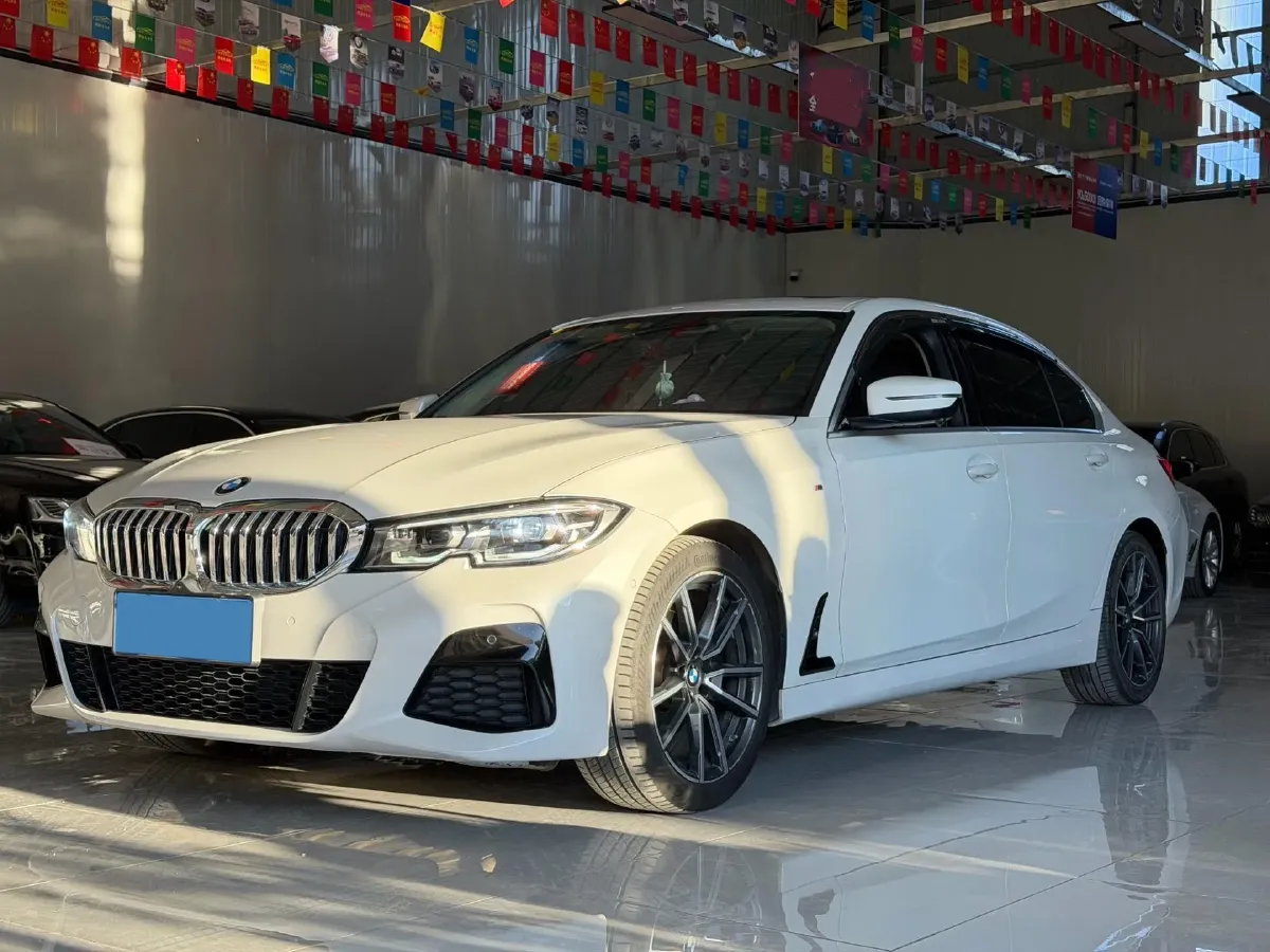 2020 BMW 3 Series 2.0T 156HP L4 8AT,autocango,china used car exporter,china ev exporter,chinese used car exporter,chinese used ev exporter