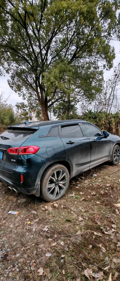 2020 WEY VV7 2.0T 227HP L4 7DCT,autocango,china used car exporter,china ev exporter,chinese used car exporter,chinese used ev exporter