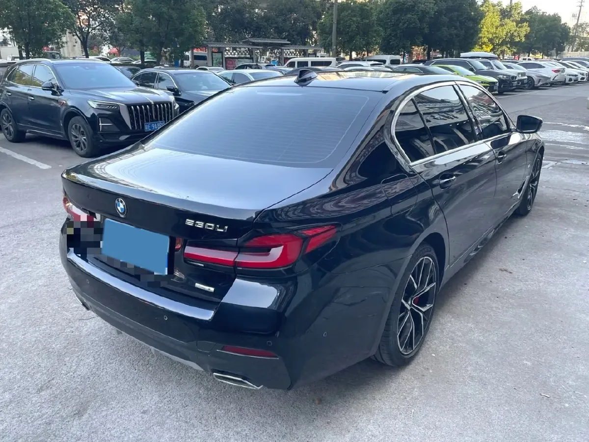 2021 BMW 5 Series 2.0T 252HP L4 8AT,autocango,china used car exporter,china ev exporter,chinese used car exporter,chinese used ev exporter