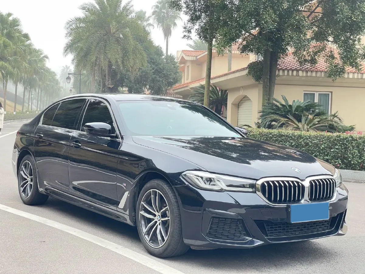 2022 BMW 5 Series 2.0T 184HP L4 8AT,autocango,china used car exporter,china ev exporter,chinese used car exporter,chinese used ev exporter