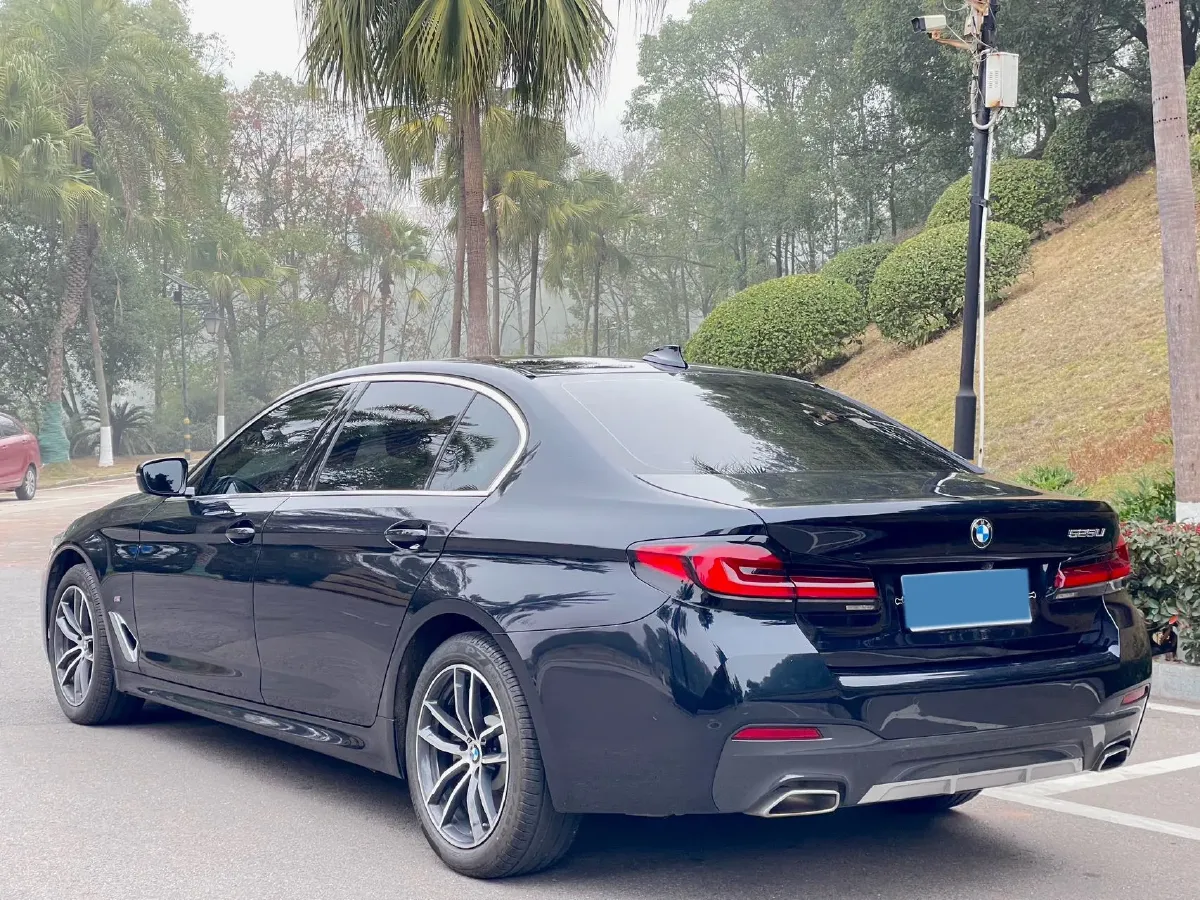 2022 BMW 5 Series 2.0T 184HP L4 8AT,autocango,china used car exporter,china ev exporter,chinese used car exporter,chinese used ev exporter