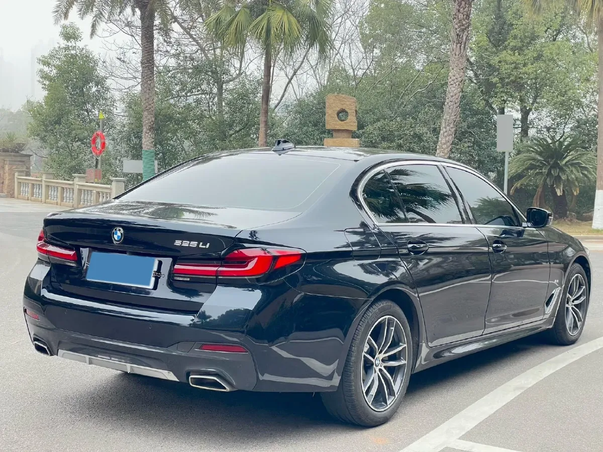 2022 BMW 5 Series 2.0T 184HP L4 8AT,autocango,china used car exporter,china ev exporter,chinese used car exporter,chinese used ev exporter