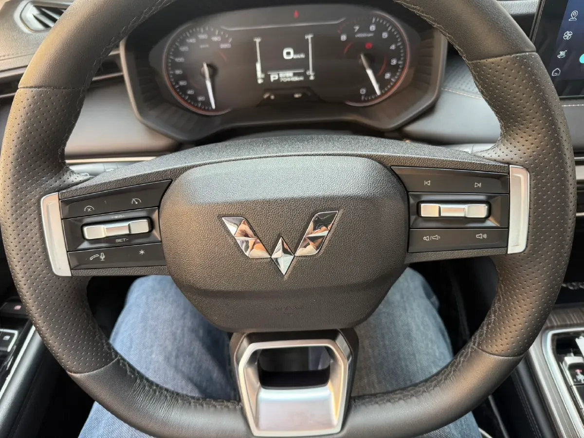 2022 Venucia T60 1.6L 126HP L4 CVT,autocango,china used car exporter,china ev exporter,chinese used car exporter,chinese used ev exporter