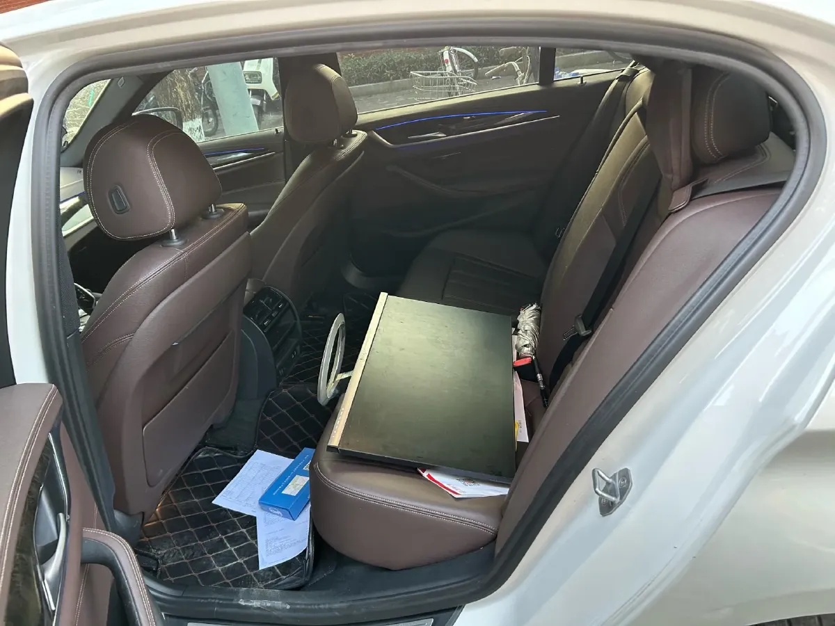 2020 BMW 5 Series 2.0T 184HP L4 8AT,autocango,china used car exporter,china ev exporter,chinese used car exporter,chinese used ev exporter