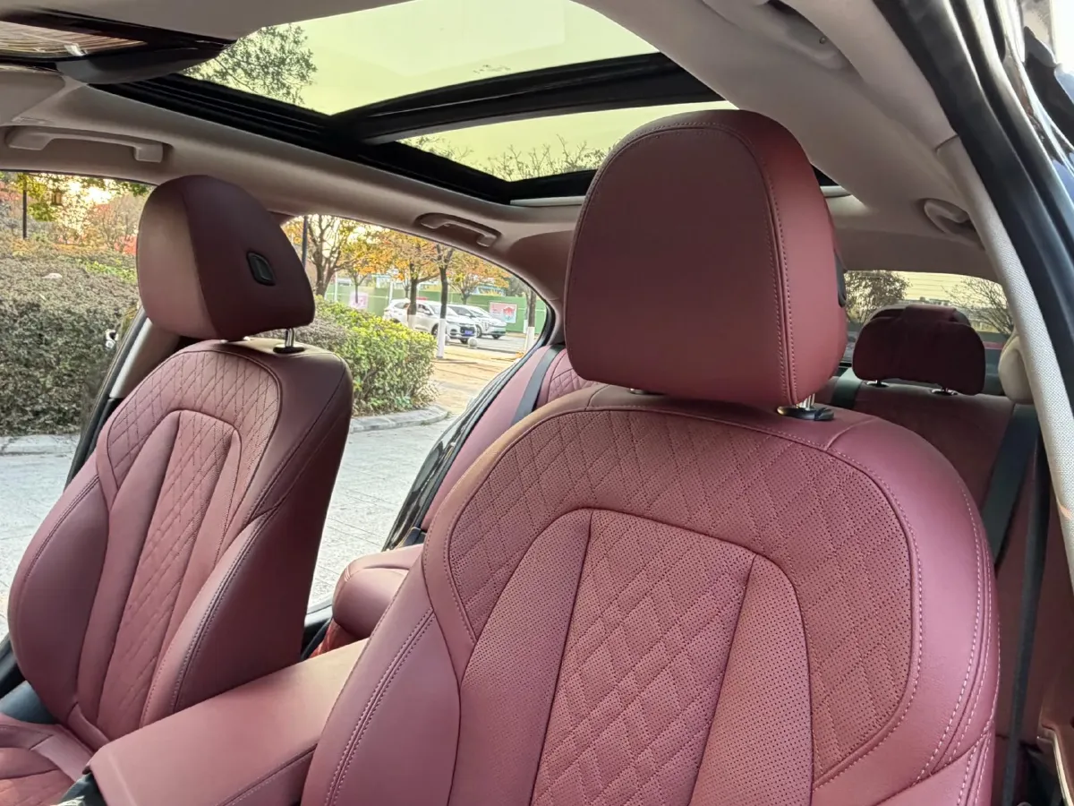 2024 BMW 3 Series 2.0T 184HP L4 8AT,autocango,china used car exporter,china ev exporter,chinese used car exporter,chinese used ev exporter