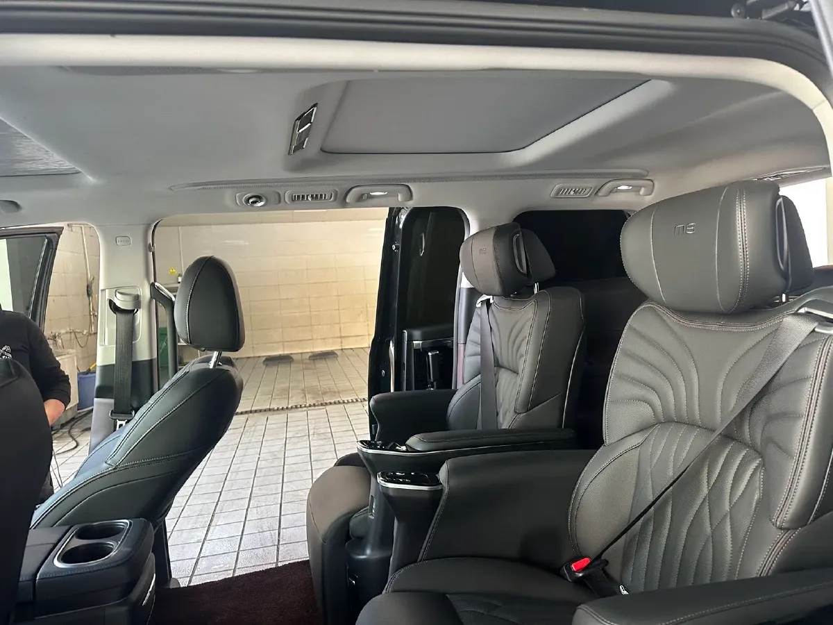 2024 GAC Trumpchi M8 2.0T 252HP L4 8AT,autocango,china used car exporter,china ev exporter,chinese used car exporter,chinese used ev exporter