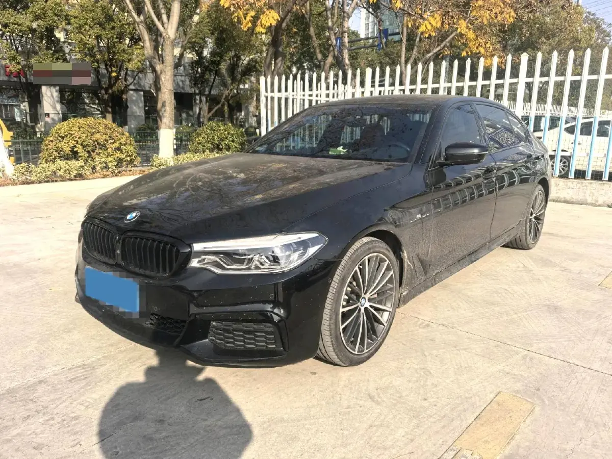 2020 BMW 5 Series 2.0T 252HP L4 8AT