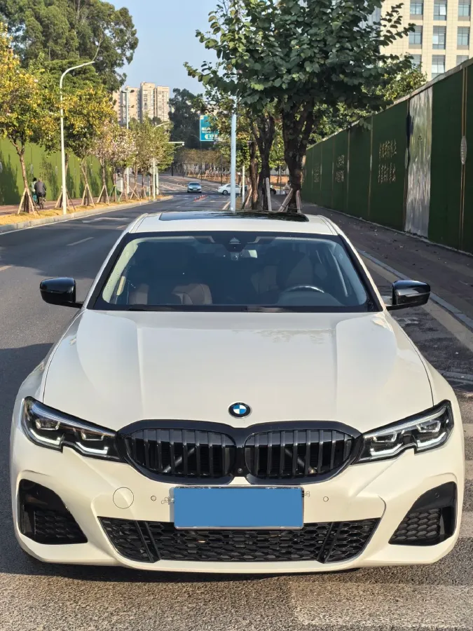 2021 BMW 3 Series 2.0T 184HP L4 8AT,autocango,china used car exporter,china ev exporter,chinese used car exporter,chinese used ev exporter