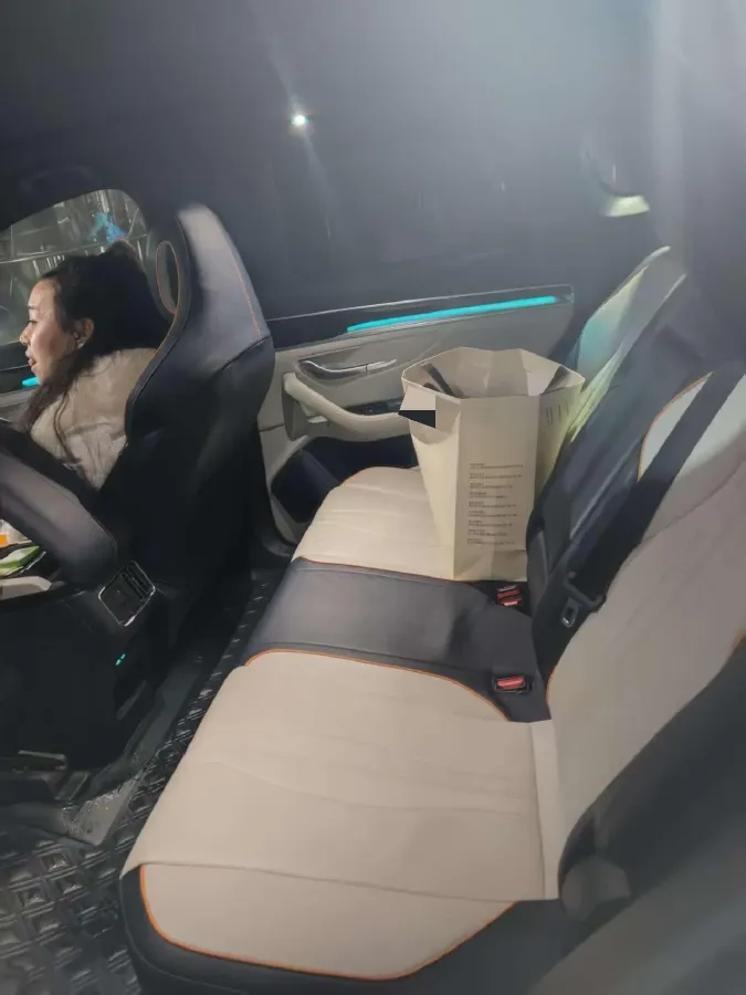 2021 BYD Qin BEV 53.56KWH,autocango,china used car exporter,china ev exporter,chinese used car exporter,chinese used ev exporter