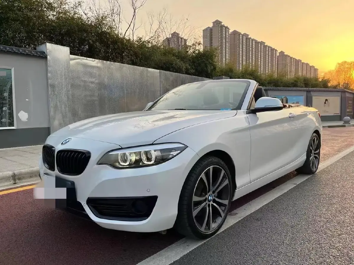 2019 BMW 2 Series 2.0T 184HP L4 8AT
