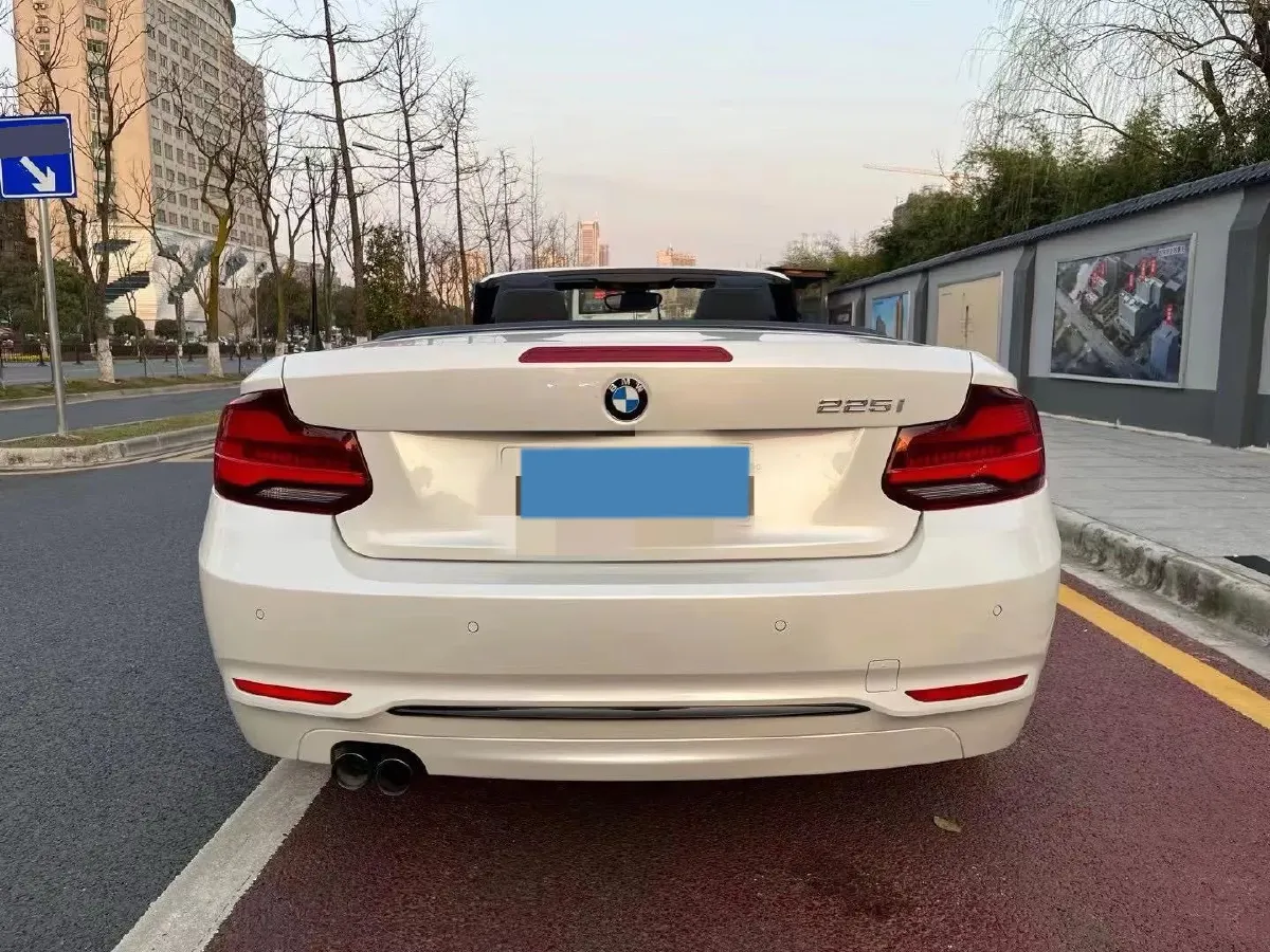 2019 BMW 2 Series 2.0T 184HP L4 8AT,autocango,china used car exporter,china ev exporter,chinese used car exporter,chinese used ev exporter