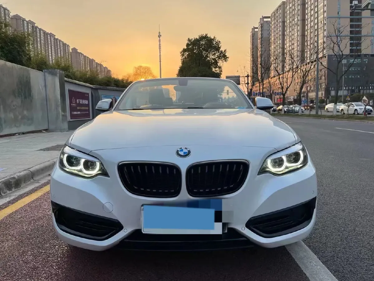 2019 BMW 2 Series 2.0T 184HP L4 8AT,autocango,china used car exporter,china ev exporter,chinese used car exporter,chinese used ev exporter