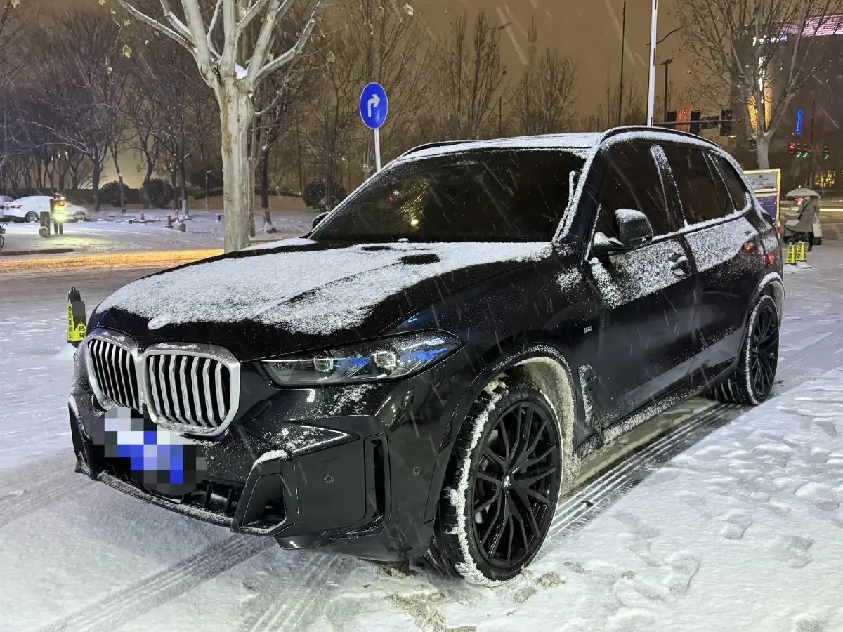 2023 BMW X5 3.0T 381HP L6 8AT